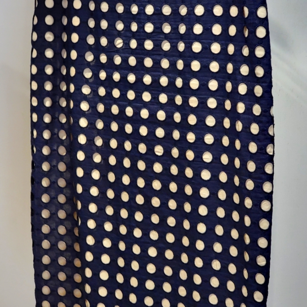 Ann Taylor dressy skirt in Navy and Champagne colors.